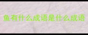 鱼有什么成语是什么成语