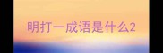 明打一成语是什么