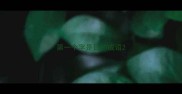 第一个字是日的成语