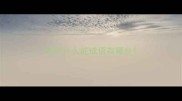 成语什么蛇成语有哪些