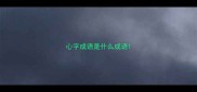 心字成语是什么成语