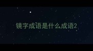 镜字成语是什么成语