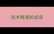 技术精湛的成语