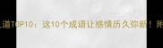 夫妻相处之道TOP10这10个成语让感情历久弥新附真实案例