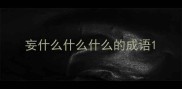 妄什么什么什么的成语
