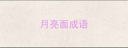 月亮面成语