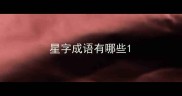 星字成语有哪些
