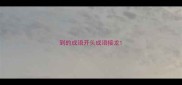 到的成语开头成语接龙