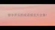 银字开头的成语接龙大全集