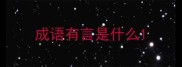 成语有言是什么