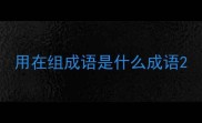用在组成语是什么成语