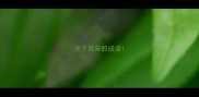 关于西安的成语