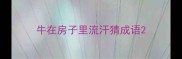 牛在房子里流汗猜成语