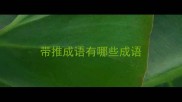 带推成语有哪些成语