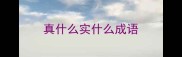 真什么实什么成语