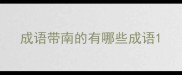 成语带南的有哪些成语