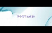 两个带不的成语