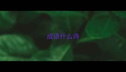 成语什么诗