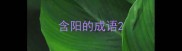 含阳的成语