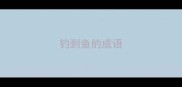 钓到鱼的成语