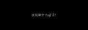 抓贼啊什么成语
