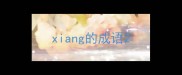 xiang的成语