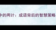 三十六计中的两计成语背后的智慧策略与实战应用