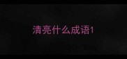清亮什么成语