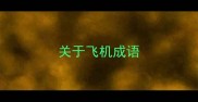 关于飞机成语