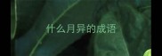 什么月异的成语