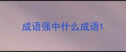 成语强中什么成语