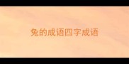 兔的成语四字成语