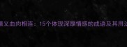 情义血肉相连15个体现深厚情感的成语及其用法