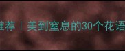 形容鲜花盛开的经典成语推荐美到窒息的30个花语成语合集附使用场景