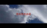 带自然的成语