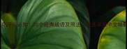 花花开头必知20个经典成语及用法快速掌握中文精髓