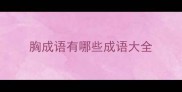 胸成语有哪些成语大全