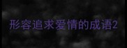 形容追求爱情的成语