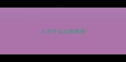 人才什么出的成语