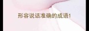 形容说话准确的成语