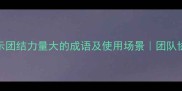 10个表示团结力量大的成语及使用场景团队协作必备