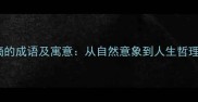 10个关于雨滴的成语及寓意从自然意象到人生哲理的文化密码