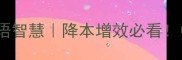 高效精简机构管理的5大成语智慧降本增效必看中小企必收藏的成语管理课