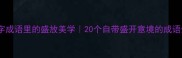 四字成语里的盛放美学20个自带盛开意境的成语全