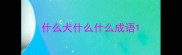 什么犬什么什么成语