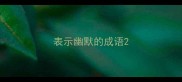 表示幽默的成语