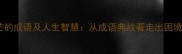 10个应对迷茫的成语及人生智慧从成语典故看走出困境的生存法则