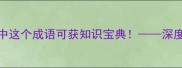 经典谜题辞海书藏玄机猜中这个成语可获知识宝典深度辞海书打一成语的智慧密码