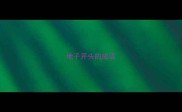 地子开头的成语
