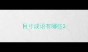 目寸成语有哪些